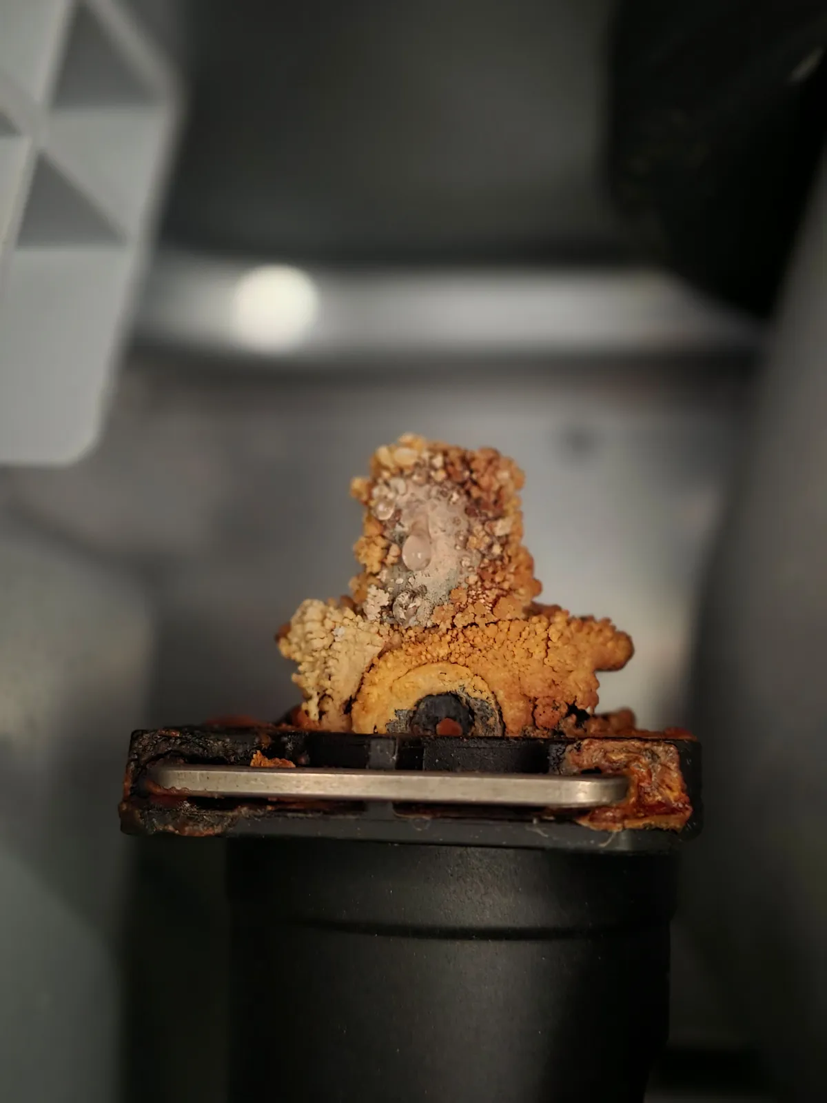 Crust buildup on Worcester Bosch boiler, Local Gas engineer repairs boiler during service