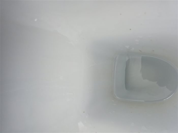 Survey photo